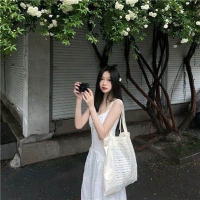 完美伴侣2025 封面